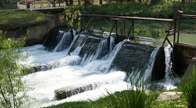 Coban6