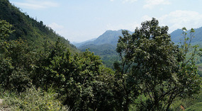 Semuc Chamey11