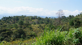 Semuc Chamey2