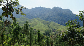 Semuc Chamey7