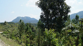 Semuc Chamey8