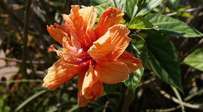 Atitlan31