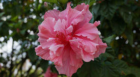 Atitlan9