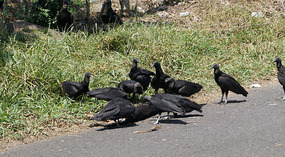Fahrt nach Atitlán1