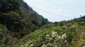Fahrt nach Atitlán2
