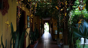 Casa Antigua7