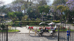 Guatemala Antigua14