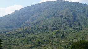 Apaneca7