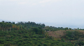 Apaneca9
