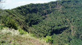El Boqueron National Park15