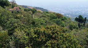 San Salvador5