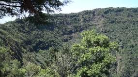 Video El Boqueron National Park