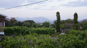 Choluteca1