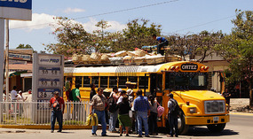 Bus