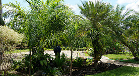 Ticuantepe1