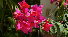 Ticuantepe4