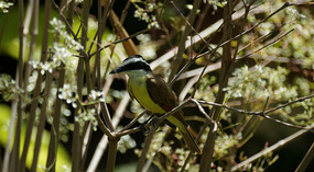 Ticuantepe6