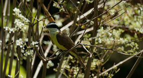 Ticuantepe7