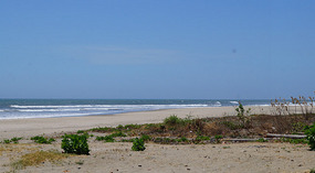 Strand1