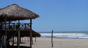 Strand2