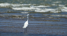 Lago Nicaragua4