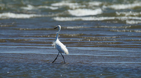 Lago Nicaragua5