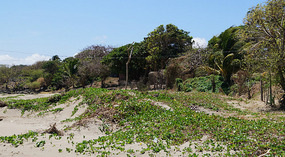 Lago Nicaragua8
