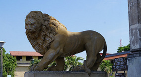 Leon14