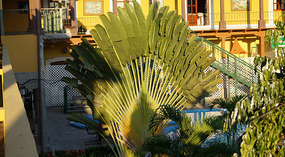 Antigua Comayagua2