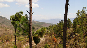 Berge1