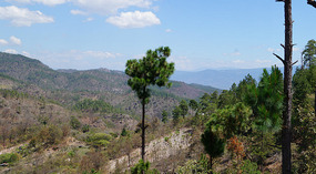 Berge3