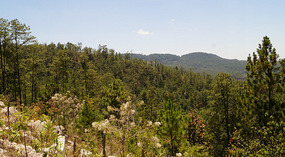 Berge5
