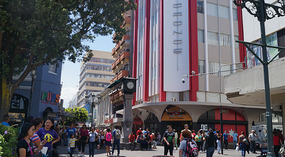 Jan Jose20