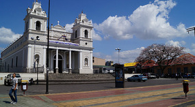 Jan Jose24