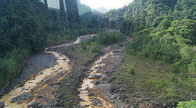 Tortuguero1