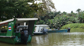 Tortuguero14