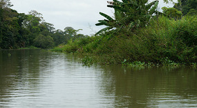 Tortuguero22