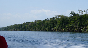 Tortuguero34