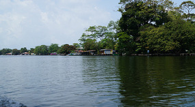 Tortuguero35