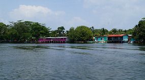 Tortuguero36