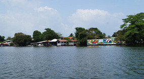 Tortuguero37