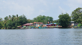 Tortuguero38