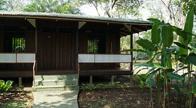 Tortuguero40