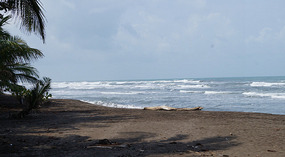 Tortuguero44