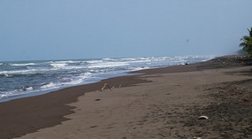 Tortuguero46