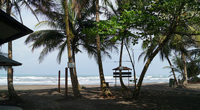 Tortuguero49