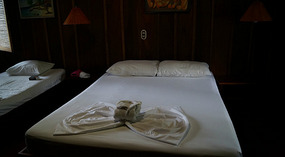 Tortuguero55