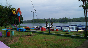 Tortuguero58