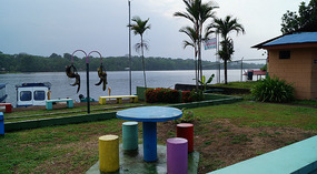 Tortuguero59