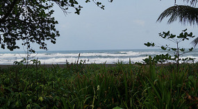 Tortuguero60